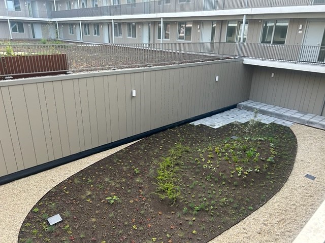project